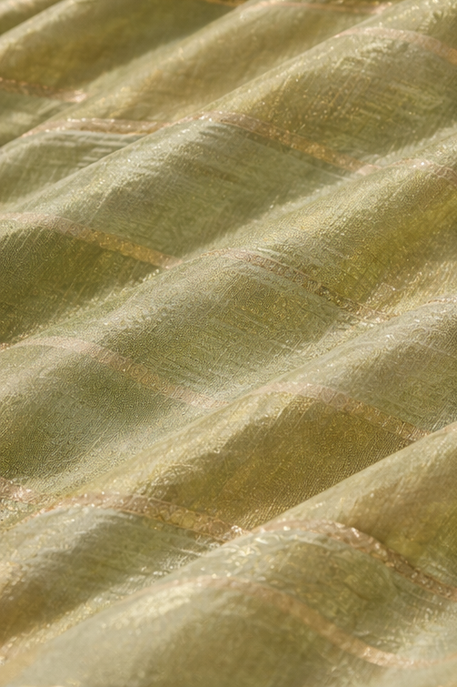 Sage Green Designer Saree with Gold Embroidered Border